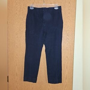 Ann Taylor pants